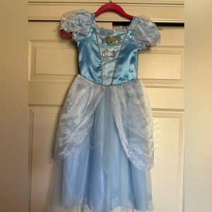 Disney Cinderella Costume